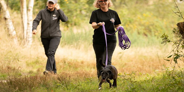 Man Trailing