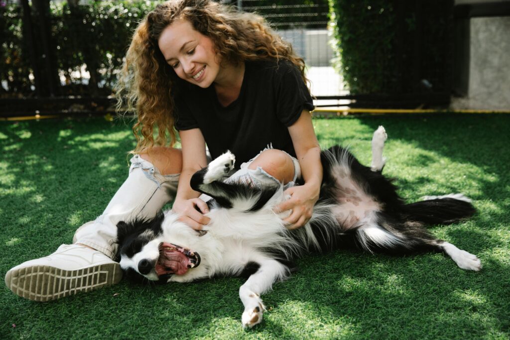 Dog Recall Training - A girl playing with her dog in a park
